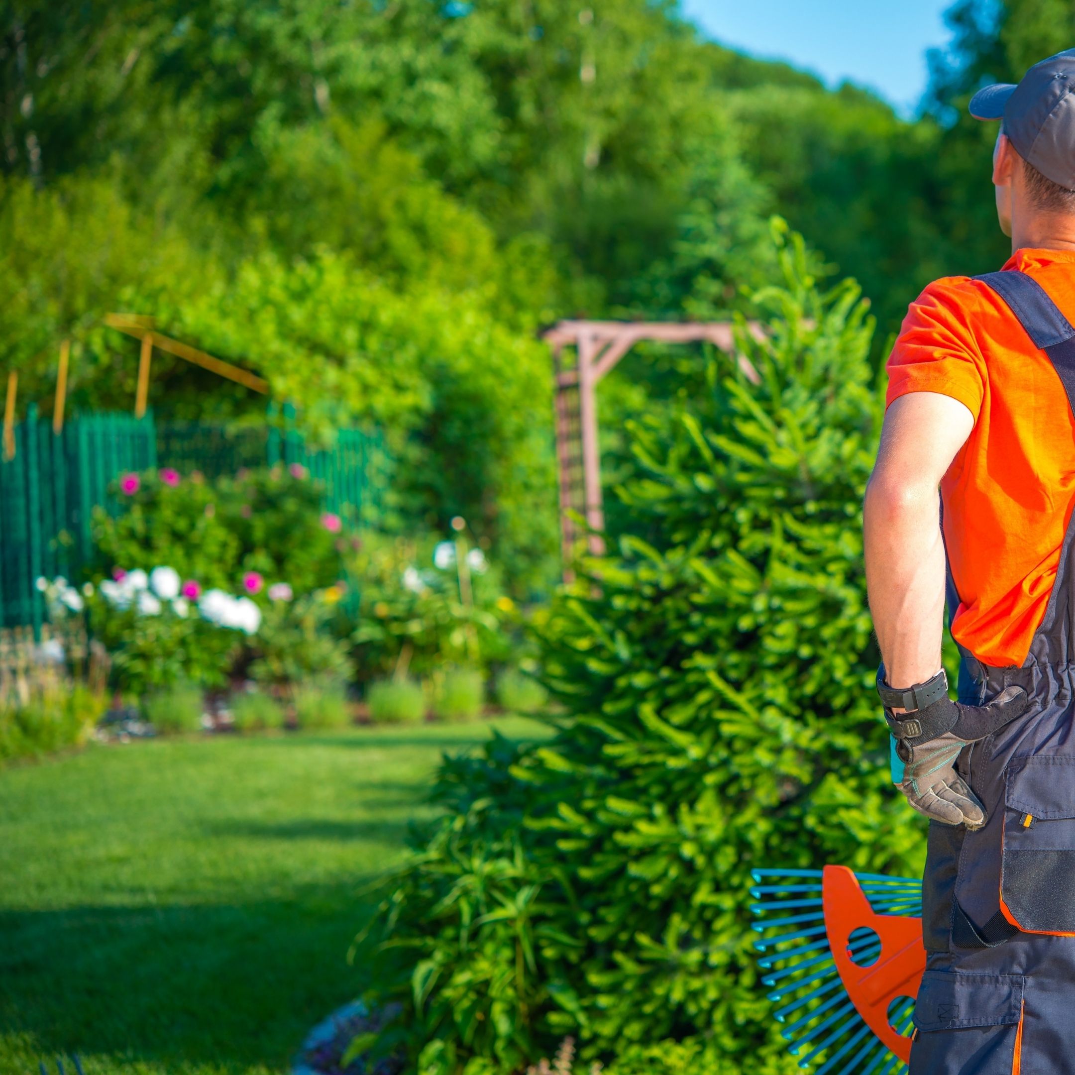 Manutenzione Giardino Privato - Pulimax